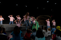sps_0020_1715053