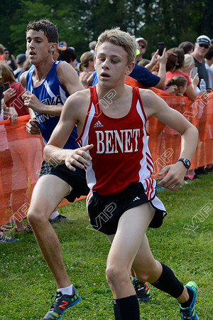 BENA_120
