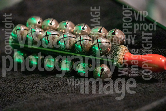 sps_0053_1753593