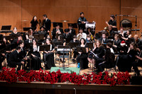 sps_0011_1767490