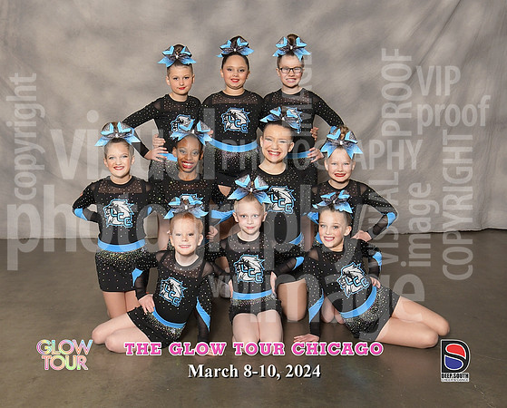 Fierce Cats