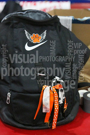 sps_0003_1787837