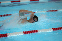 sps_2411_1846370