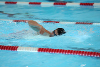 sps_2417_1846374