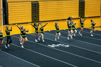 sps_0010_2476617