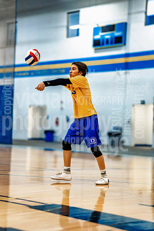sps_0039_1035555325