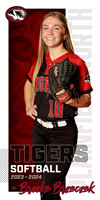 Softball_HS Banners
