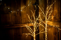 sps_0003_2866059