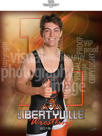 7366796_1_libv_window_posters_16x2