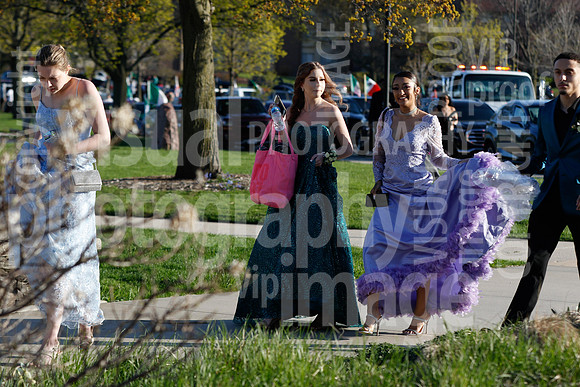 sps_0039_1008996774