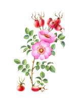 AnnaRepp07