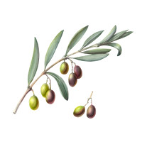 AnnaRepp09