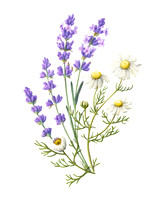 AnnaRepp11