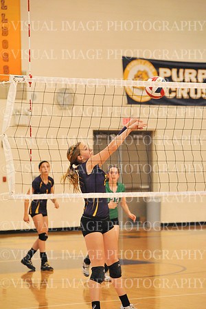WAUC_ 013