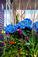 sps_0004_1036884510