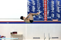 TREM_014