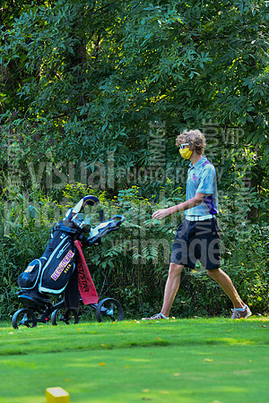 sps_0008_3608681