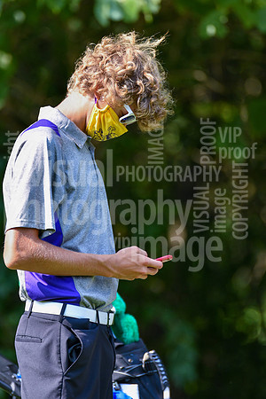 sps_0011_3608685