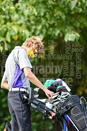 sps_0013_3608692