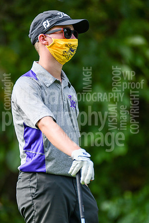 sps_0015_3608693