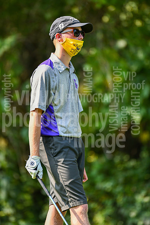 sps_0016_3608698