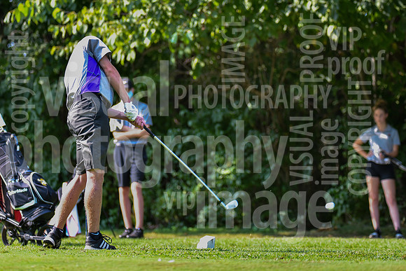sps_0018_3608699