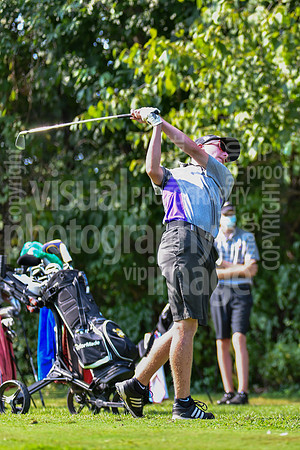 sps_0019_3608701