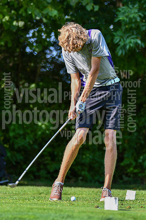 sps_0022_3608707