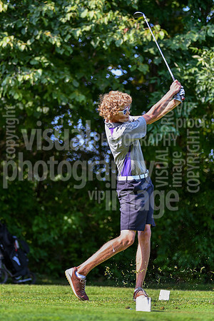 sps_0023_3608709