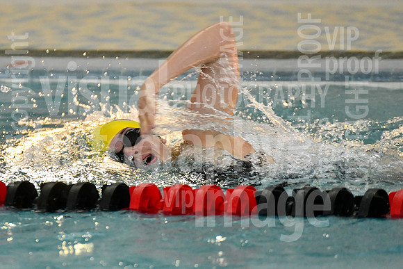 sps_0113_3622206