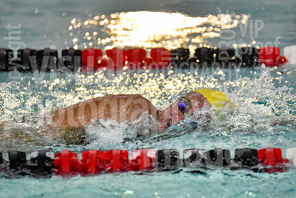 sps_0114_3622208