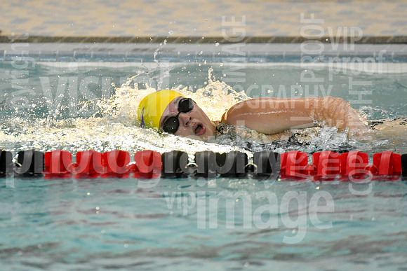 sps_0123_3622221