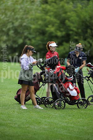 sps_0334_3688159