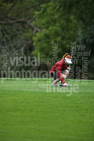 sps_0335_3688158