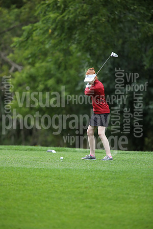 sps_0341_3688161