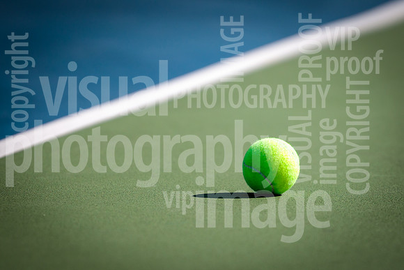 sps_0017_3776231