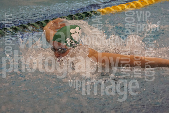 sps_3996_3754698