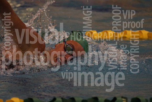 sps_4028_3754705