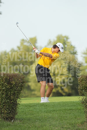 sps_8594_3832482