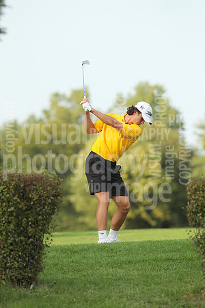 sps_8595_3832484