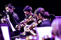 sps_2608_1008105941