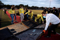 sps_0011_4161456