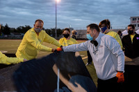 sps_0012_4161574