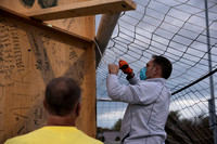 sps_0003_4161450