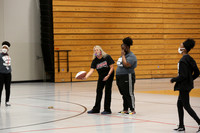 sps_0004_4206013