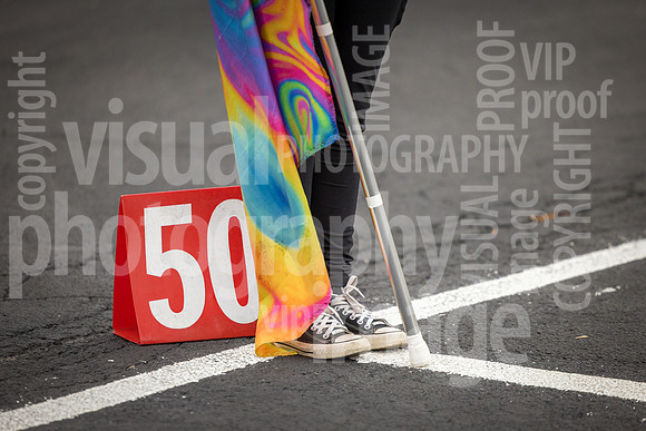 sps_0078_4231946