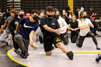 sps_0010_1008215452