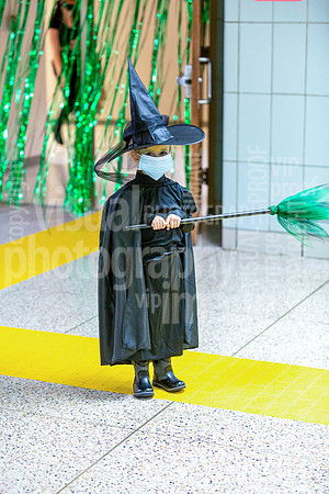 sps_0010_4262071