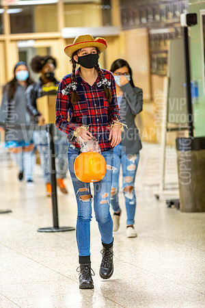 sps_0016_4262052