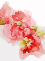 Pink Series 1
